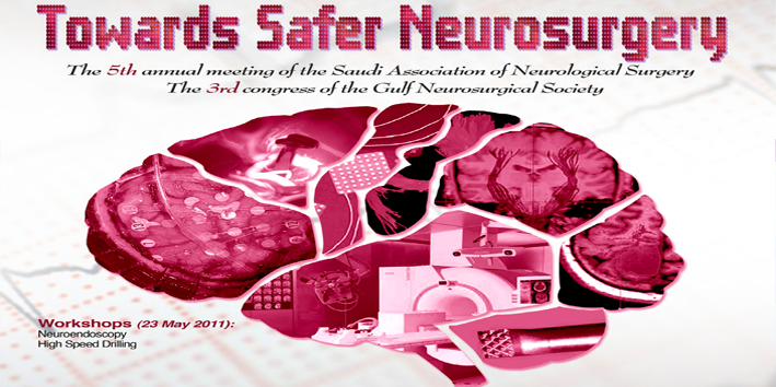 Towards Safer Neurosurgery 2011