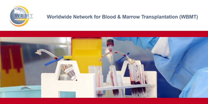 Worldwide Network for Blood Marrow Transplantation 2017